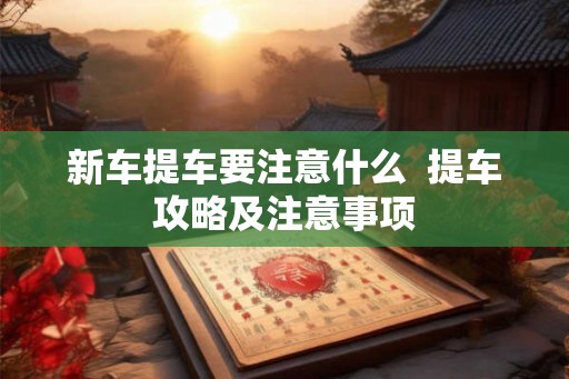 新车提车要注意什么  提车攻略及注意事项