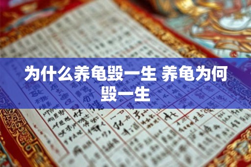 为什么养龟毁一生 养龟为何毁一生 为什么养龟毁一生 养龟为何毁一生