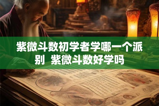 紫微斗数初学者学哪一个派别 紫微斗数好学吗 紫微斗数初学者学哪一个派别 紫微斗数好学吗