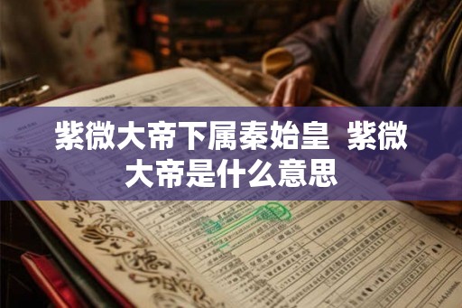 紫微大帝下属秦始皇  紫微大帝是什么意思