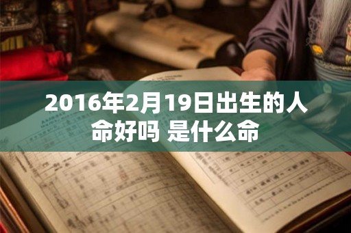 2016年2月19日出生的人命好吗 是什么命
