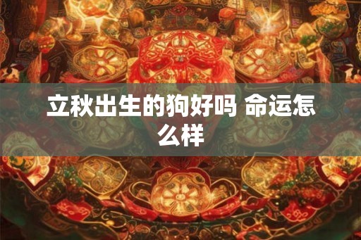 立秋出生的狗好吗 命运怎么样