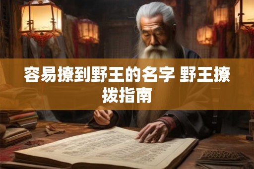 容易撩到野王的名字 野王撩拨指南 容易撩到野王的名字 野王撩拨指南