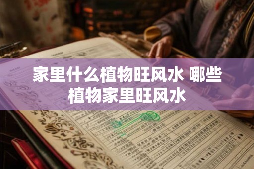 家里什么植物旺风水 哪些植物家里旺风水