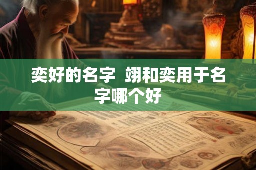奕好的名字 翊和奕用于名字哪个好 奕好的名字 翊和奕用于名字哪个好