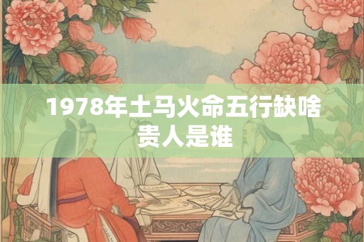 1978年土马火命五行缺啥 贵人是谁 1978年土马火命五行缺啥 贵人是谁