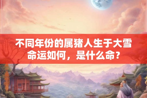 不同年份的属猪人生于大雪命运如何，是什么命？