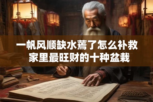 一帆风顺缺水蔫了怎么补救 家里最旺财的十种盆栽 一帆风顺缺水蔫了怎么补救 家里最旺财的十种盆栽