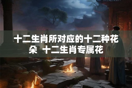 十二生肖所对应的十二种花朵  十二生肖专属花
