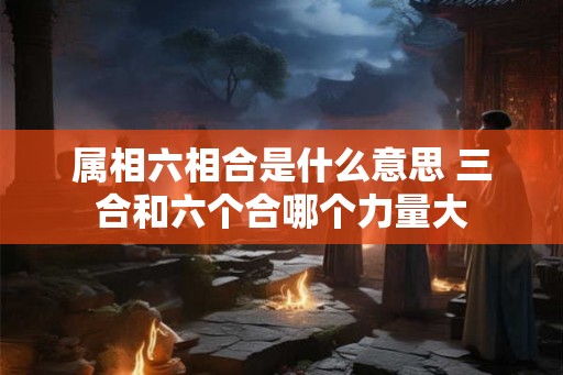属相六相合是什么意思 三合和六个合哪个力量大