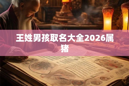 王姓男孩取名大全2026属猪 王姓男孩取名大全2026属猪