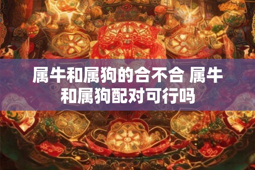 属牛和属狗的合不合 属牛和属狗配对可行吗 属牛和属狗的合不合 属牛和属狗配对可行吗