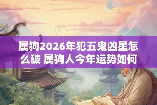 属狗2026年犯五鬼凶星怎么破 属狗人今年运势如何