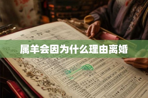 属羊会因为什么理由离婚