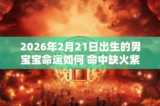 2026年2月21日出生的男宝宝命运如何 命中缺火紫薇星相助 2026年2月21日出生的男宝宝命运如何 命中缺火紫薇星相助