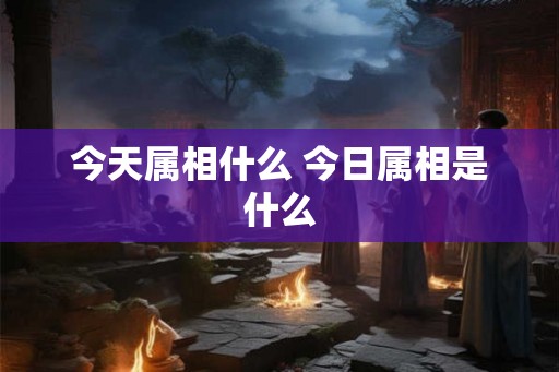 今天属相什么 今日属相是什么 今天属相什么 今日属相是什么