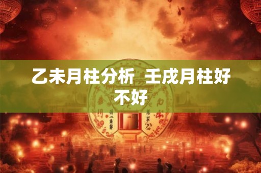 乙未月柱分析  壬戌月柱好不好
