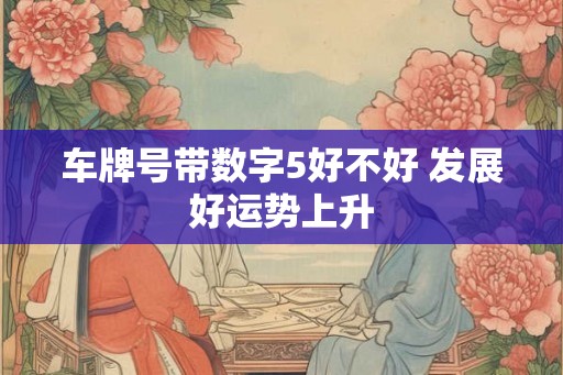 车牌号带数字5好不好 发展好运势上升