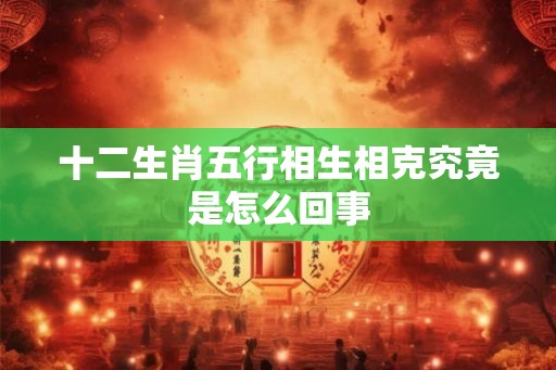 十二生肖五行相生相克究竟是怎么回事