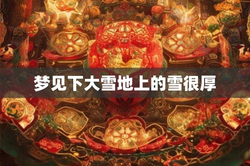 梦见下大雪地上的雪很厚
