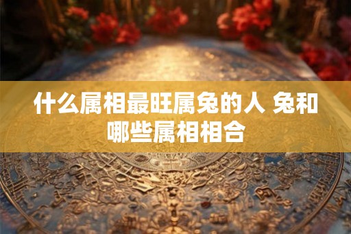 什么属相最旺属兔的人 兔和哪些属相相合