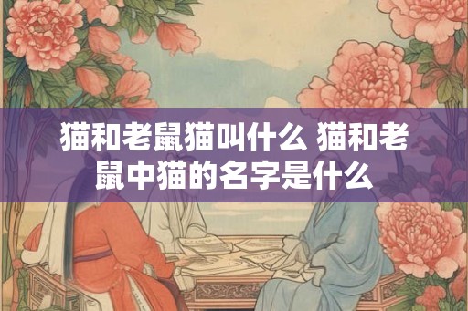 猫和老鼠猫叫什么 猫和老鼠中猫的名字是什么