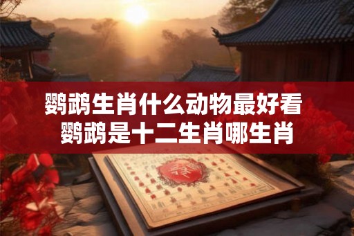 鹦鹉生肖什么动物最好看 鹦鹉是十二生肖哪生肖