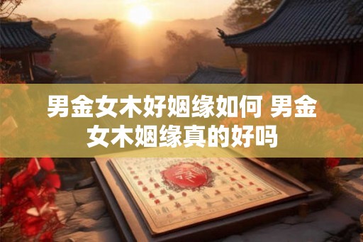 男金女木好姻缘如何 男金女木姻缘真的好吗