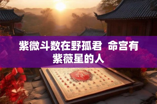 紫微斗数在野孤君  命宫有紫薇星的人