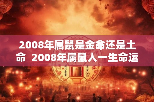 2008年属鼠是金命还是土命 2008年属鼠人一生命运 2008年属鼠是金命还是土命 2008年属鼠人一生命运