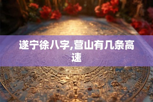 遂宁徐八字,营山有几条高速