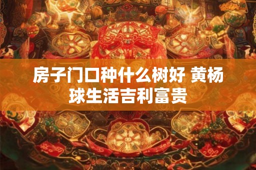 房子门口种什么树好 黄杨球生活吉利富贵 房子门口种什么树好 黄杨球生活吉利富贵
