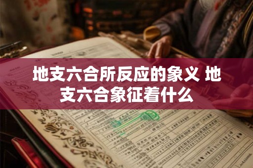 地支六合所反应的象义 地支六合象征着什么