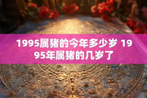1995属猪的今年多少岁 1995年属猪的几岁了