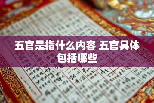 五官是指什么内容 五官具体包括哪些 五官是指什么内容 五官具体包括哪些