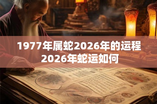 1977年属蛇2026年的运程 2026年蛇运如何 1977年属蛇2026年的运程 2026年蛇运如何