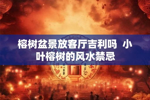 榕树盆景放客厅吉利吗 小叶榕树的风水禁忌 榕树盆景放客厅吉利吗 小叶榕树的风水禁忌