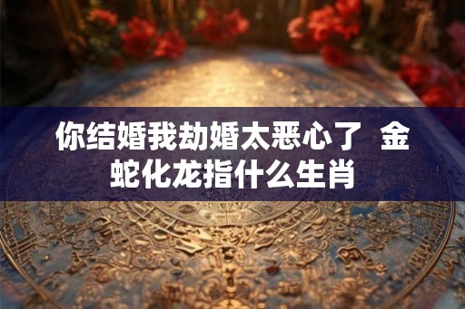 你结婚我劫婚太恶心了  金蛇化龙指什么生肖