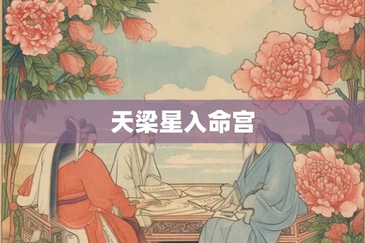 天梁星入命宫 天梁星入命宫