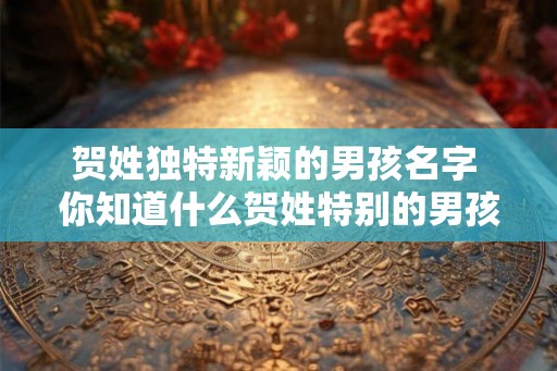 贺姓独特新颖的男孩名字 你知道什么贺姓特别的男孩名字吗 贺姓独特新颖的男孩名字 你知道什么贺姓特别的男孩名字吗