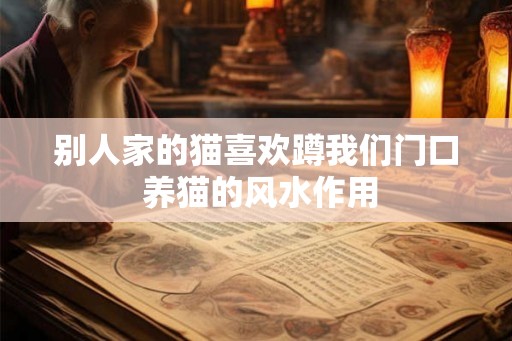 别人家的猫喜欢蹲我们门口 养猫的风水作用 别人家的猫喜欢蹲我们门口 养猫的风水作用