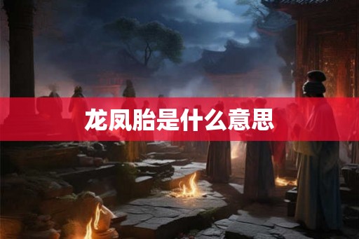 龙凤胎是什么意思