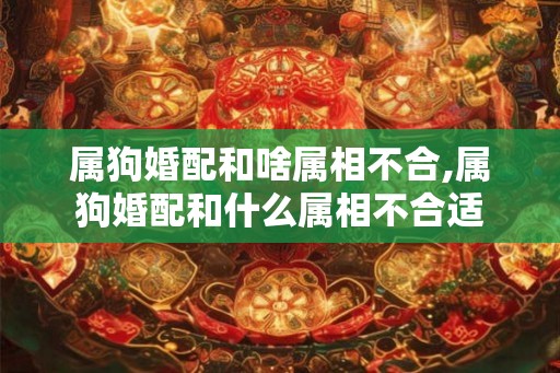 属狗婚配和啥属相不合,属狗婚配和什么属相不合适