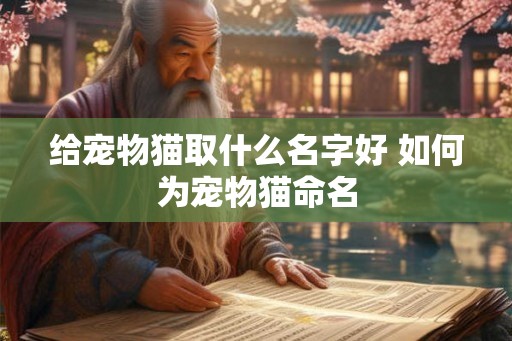 给宠物猫取什么名字好 如何为宠物猫命名 给宠物猫取什么名字好 如何为宠物猫命名