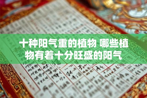 十种阳气重的植物 哪些植物有着十分旺盛的阳气 十种阳气重的植物 哪些植物有着十分旺盛的阳气