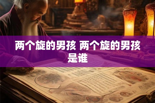 两个旋的男孩 两个旋的男孩是谁 两个旋的男孩 两个旋的男孩是谁