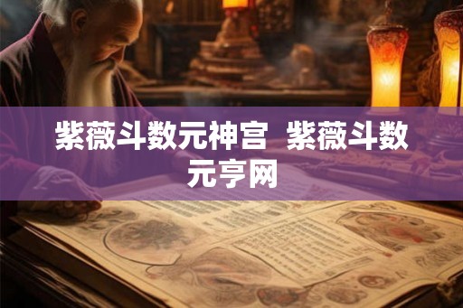紫薇斗数元神宫  紫薇斗数元亨网