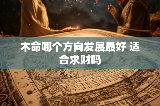 木命哪个方向发展最好 适合求财吗