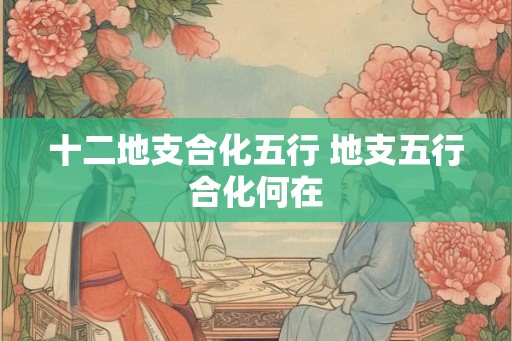 十二地支合化五行 地支五行合化何在