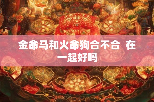 金命马和火命狗合不合  在一起好吗